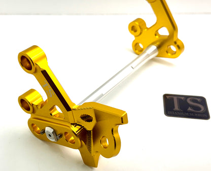 Custom CNC Aluminum Footpeg Bracket Assembly E-Ride Pro