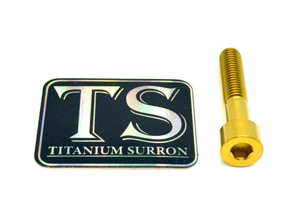 Titanium Hardware (Individual M8 Bolts)